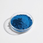 Phycocyanin Powder Manufacturer - Blue Pigment Spirulina Extract E18 Bulk