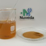 Rosemary Extract Powder Factory - 10%-90% Rosmarinic Acid Antioxidant Custom