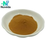 Polygonatum Extract Powder Factory - Huangjing Rhizoma Plant Extract Custom