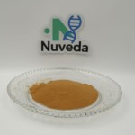 Rosemary Extract Powder Factory - 10%-90% Rosmarinic Acid Antioxidant Custom