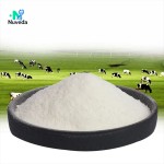 Chondroitin Sulfate Sodium Powder - Nutrition Supplement Raw Material OEM