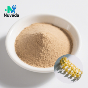 Salacia Extract Factory - 20% Saponins Saptrangi Custom Powder Bulk Supply