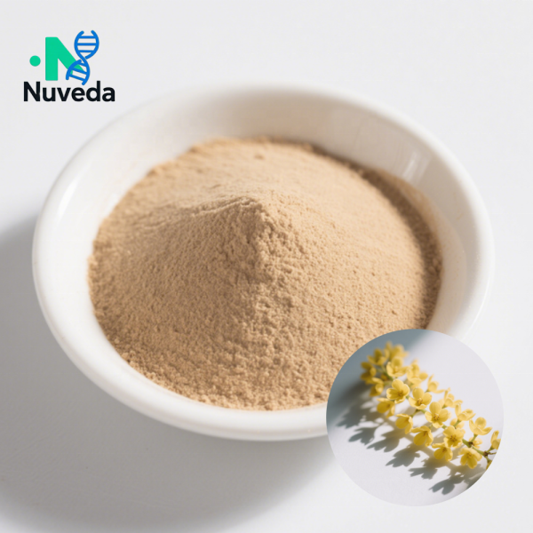 Salacia Extract Factory - 20% Saponins Saptrangi Custom Powder Bulk Supply