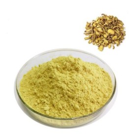Scutellaria Baicalensis Extract Supplier - 10:1 20:1 30:1 Baicalin Bulk