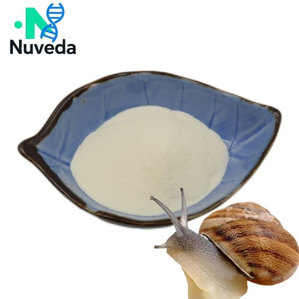 Snail Extract Powder Manufacturer - High Protein 98% Food Grade Bulk Supply