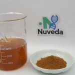 Tongkat Ali Extract Powder - Dongge Ali Root 10:1 20:1 Organic Custom