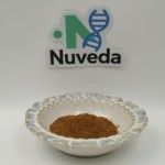 Catuaba Bark Extract Supplier - 10:1 Concentrated Organic Plant Supplement