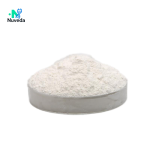 Chondroitin Sulfate Sodium Powder - Nutrition Supplement Raw Material OEM