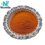 Annatto Extract Powder Factory - Water Soluble Norbixin Bixin 40% Custom