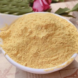 Ginger Extract Powder Supplier - Organic 10:1 5% 20% Gingerol Custom Grade