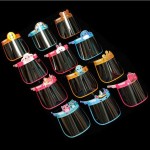 Eye Visor Factory - Clear Face Shield Protective