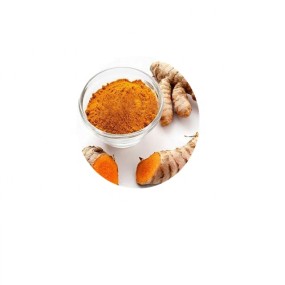 Curcuma Powder Factory - Natural Food Color Manufacturer