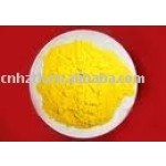 Curcuma Powder Factory - Natural Food Color Manufacturer
