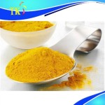 Curcuma Powder Factory - Natural Food Color Manufacturer