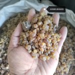 Frankincense Manufacturer - Natural Tears Grade Supplier