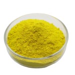 Pigment Yellow 1 Manufacturer - Water-based Ink Fast Yellow 10G