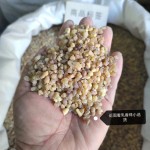 Frankincense Manufacturer - Natural Tears Grade Supplier