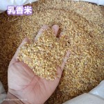 Frankincense Manufacturer - Natural Tears Grade Supplier