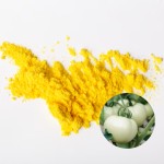 Tomato Extract Powder Factory - Private Label Skin Whitening Custom