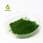 Chlorella Vulgaris Extract Factory - Organic Protein Vitamin Chlorophy