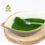 Chlorella Powder Supplier - Microalgae Aquatic Feed High Protein