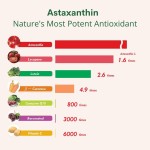 Astaxanthin Soft Gel Capsules Manufacturer - GMP Food Grade Antioxidant Custom