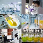 Health Care Capsules Factory - Whole Food Multivitamin Organic Extracts