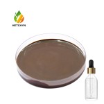 Dunaliella Oil Factory - 10% Gentle Hydration Skin Care Custom