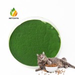 Chlorella Protein Powder Manufacturer - Sustainable Plant-Based Nutrition