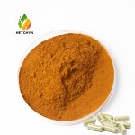 Dunaliella Salina Extract Factory - 3% 8% Beta Carotene Orange Powder