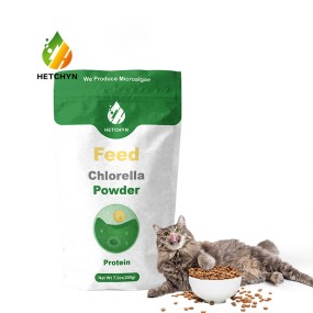 Chlorella Powder Supplier - Microalgae Aquatic Feed High Protein