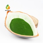 Chlorella Food Additives Factory - Bioactive Compounds Dietary Fiber