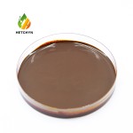 Dunaliella Oil Supplier - 5% Plant-Derived Eco-Friendly Cosmetic