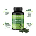 Body Slim Capsules Manufacturer - Spirulina Tablets Protein Vitamin