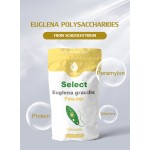 Yellow Chlorella Powder Supplier - 60% Naked Algae Paramylon Powder