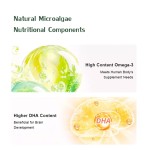 Schizochytrium Algae Powder Factory - 18% DHA Powder Bulk Drum