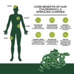 Spirulina Chlorella Capsules Supplier - Vegan Protein Multivitamin Herbal