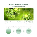 Schizochytrium Powder Supplier - 22% DHA Powder Light DHA Oil