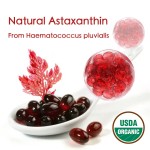 Astaxanthin Soft Gel Capsules Manufacturer - GMP Food Grade Antioxidant Custom