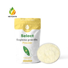 Yellow Chlorella Powder Supplier - 60% Naked Algae Paramylon Powder