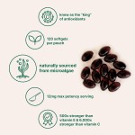 Astaxanthin Softgels Manufacturer - 12mg Microalgae Extract OEM/ODM Wholesale