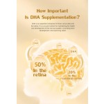 Schizochytrium Powder Supplier - 22% DHA Powder Light DHA Oil