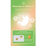 Microalgae Powder Manufacturer - 3% Beta Carotene Dunaliella Free Sample