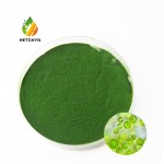 Chlorella Food Additives Factory - Bioactive Compounds Dietary Fiber