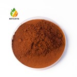 Dunaliella Salina Powder Supplier - 3% 8% Beta Carotene Bulk Wholesale