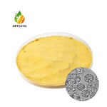 Schizochytrium Powder Manufacturer - 18% Natural Algae DHA Bulk