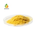 Schizochytrium Powder Supplier - 18% 22% DHA EPA Microalgae