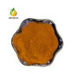 Dunaliella Salina Powder Manufacturer - 3% Natural Antioxidant Supplement