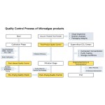 Dunaliella Oil Factory - 20% Nutrient Support Holistic Skincare