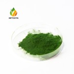 Chlorella Protein Powder Manufacturer - Sustainable Plant-Based Nutrition